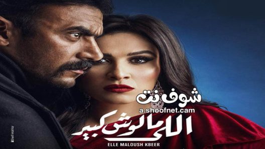 مسلسل اللي مالوش كبير الحلقة 30 الثلاثون والاخيرة