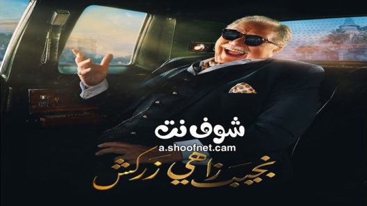 مسلسل نجيب زاهي زركشن الحلقة 30 الثلاثون