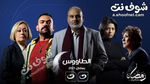 مسلسل الطاووس الحلقة 30 الثلاثون والاخيرة