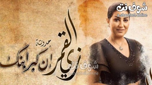 مسلسل زي القمر  ان كبر ابنك الحلقة 5 والاخيرة