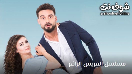 مسلسل العريس الرائع الحلقة 8 مترجم – الأخيرة