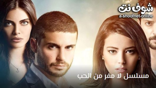 لا مفر من الحب