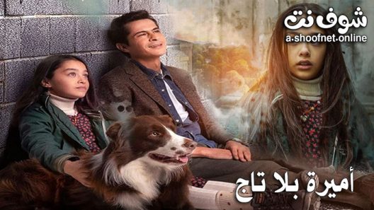مسلسل اميرة بلا تاج الحلقة 13 مترجم