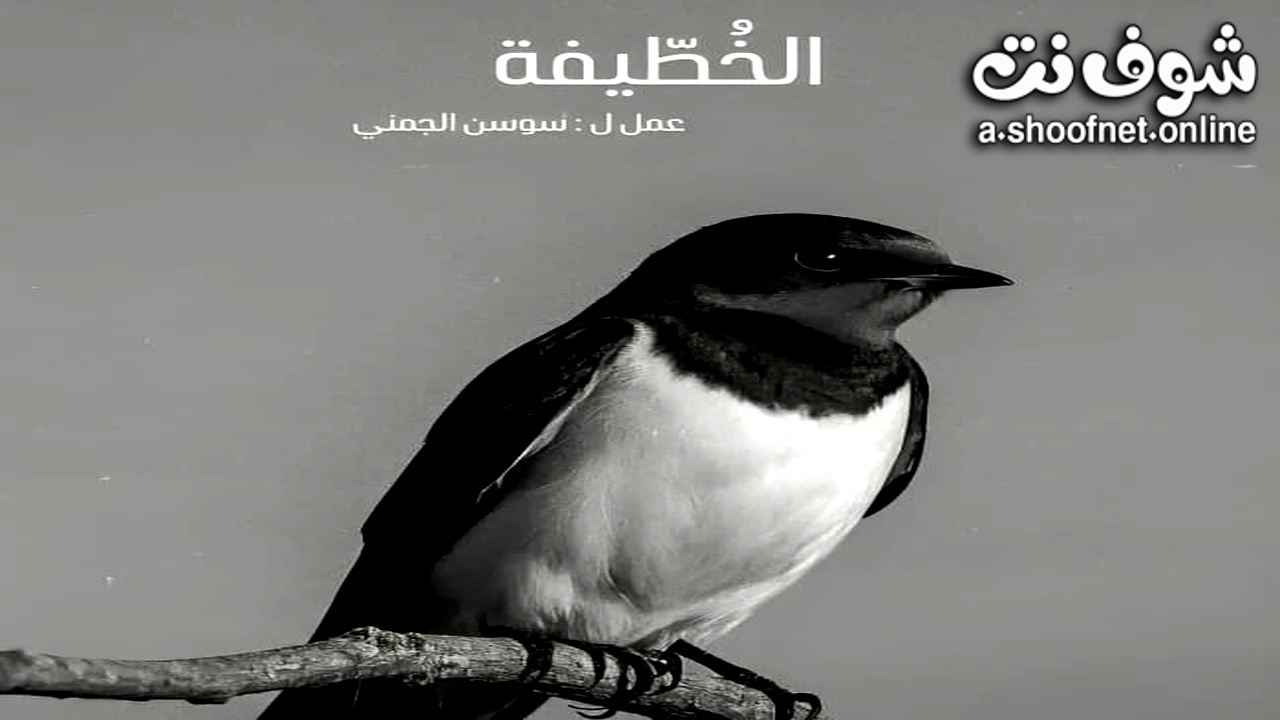 مسلسل الخطيفة